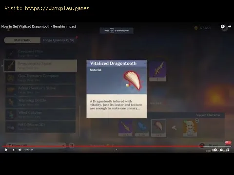 Video preview