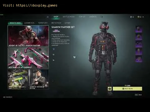 Video preview