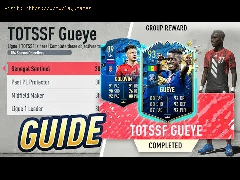 Video preview