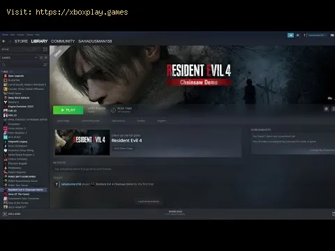 Video preview