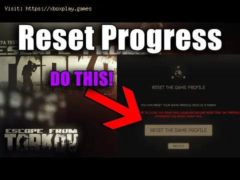 Video preview