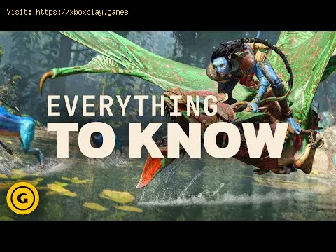 Video preview