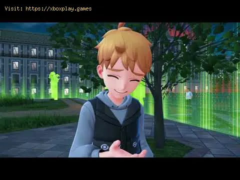 Video preview