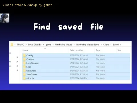 Video preview