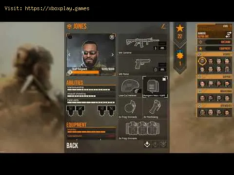 Video preview