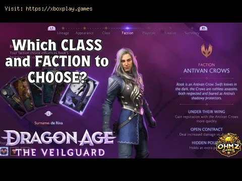 Video preview