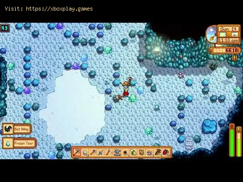 Video preview