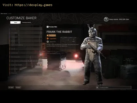 Video preview