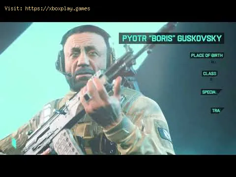 Video preview