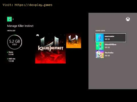 Video preview