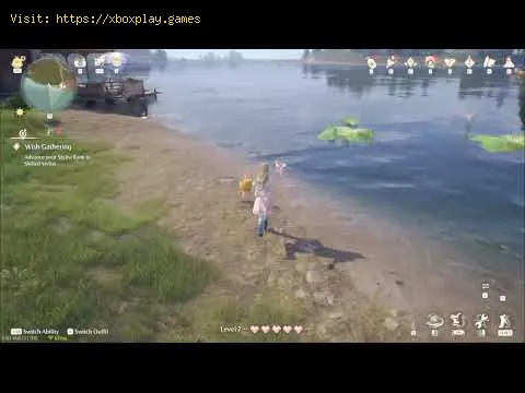 Video preview