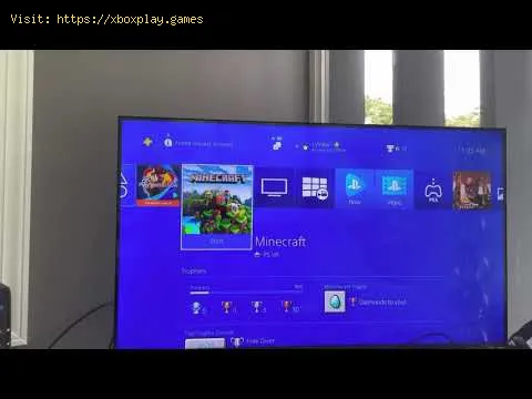 Video preview
