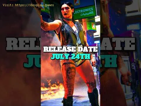 Video preview