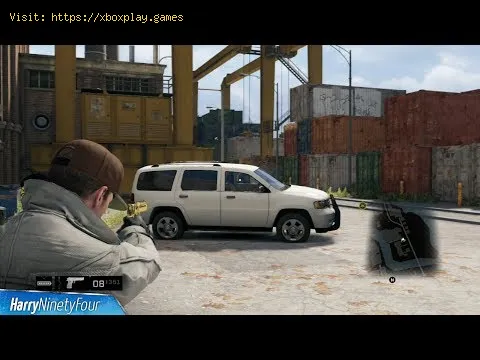Video preview