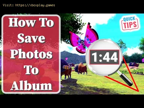 Video preview