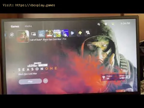 Video preview