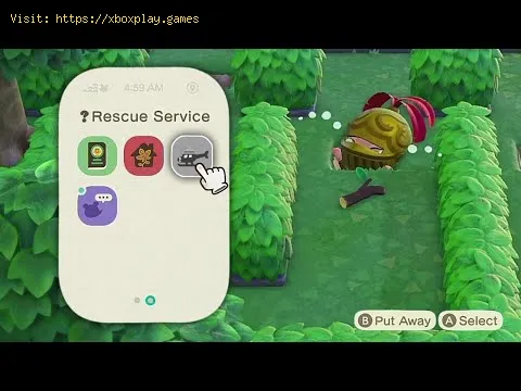 Video preview