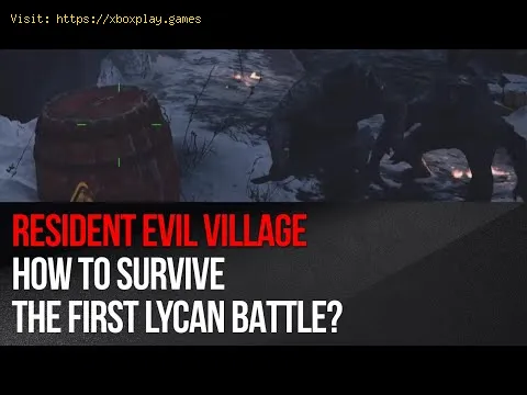 Video preview