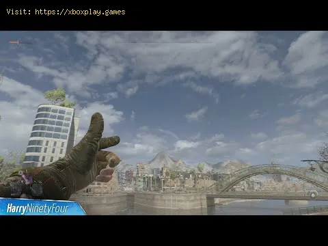 Video preview