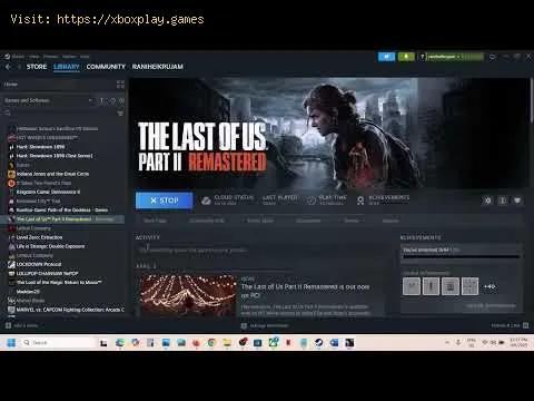 Video preview