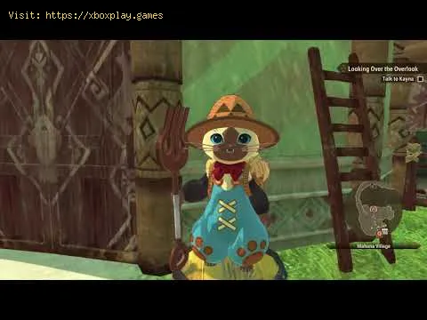 Video preview