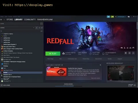 Video preview