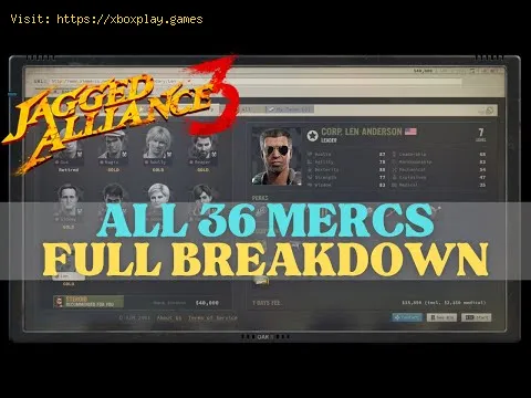 Video preview