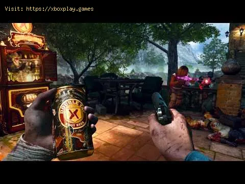 Video preview
