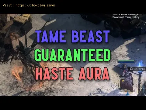 Video preview
