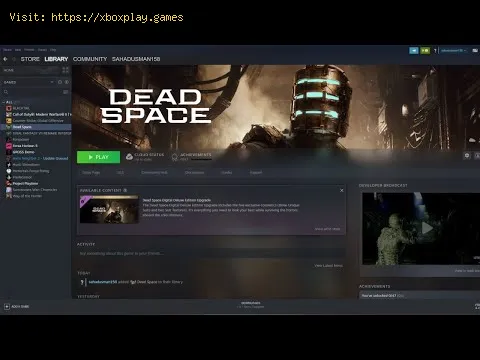Video preview