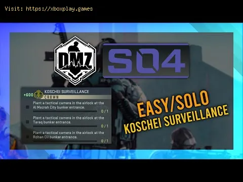 Video preview