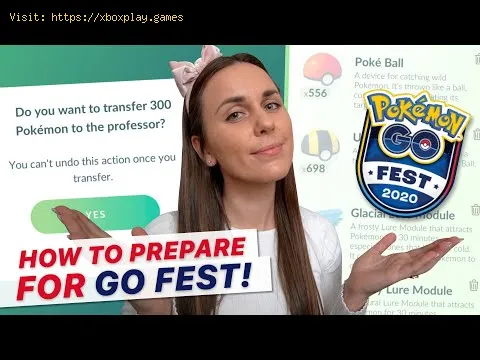 Video preview