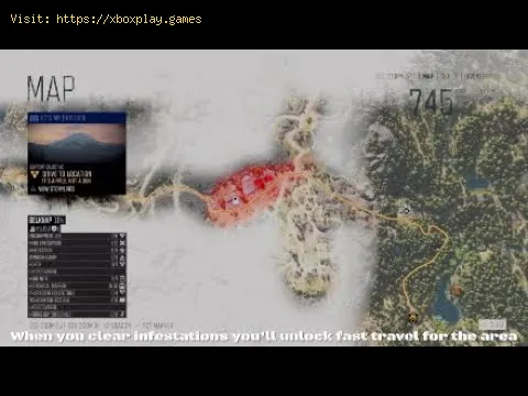 Video preview