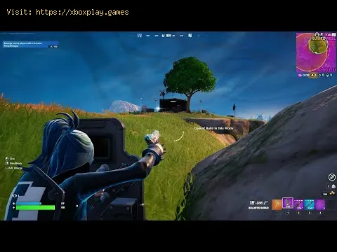 Video preview