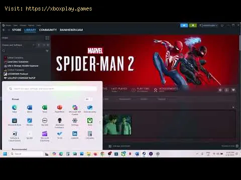 Video preview
