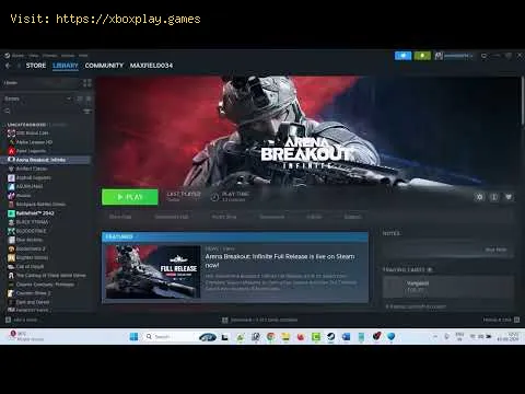 Video preview