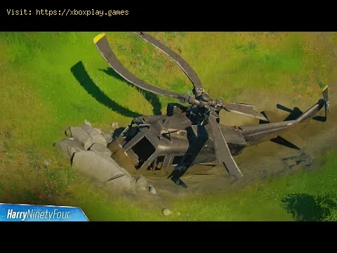 Video preview
