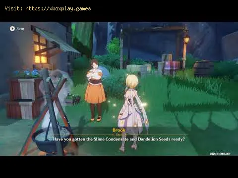 Video preview