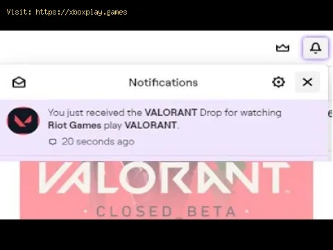 Video preview
