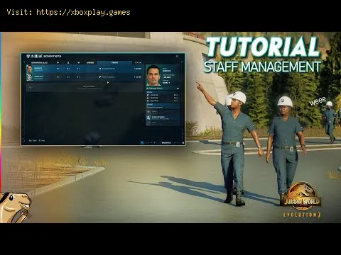 Video preview