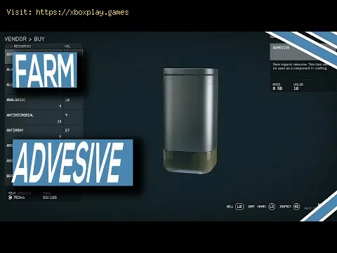Video preview