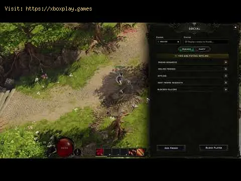 Video preview