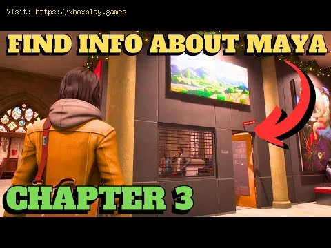 Video preview