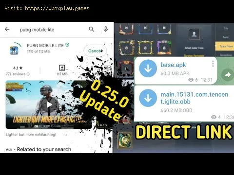 Video preview