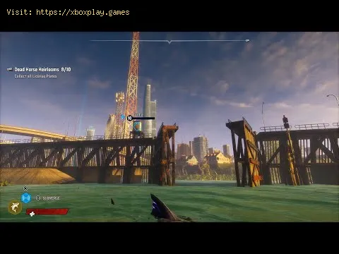 Video preview
