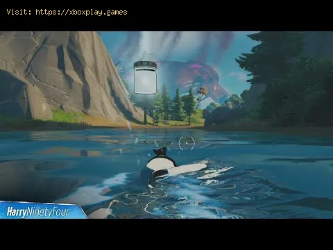 Video preview