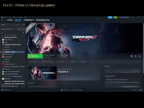 Video preview