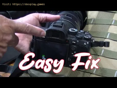 Video preview