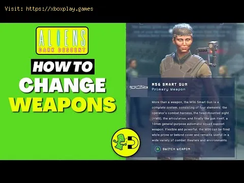 Video preview