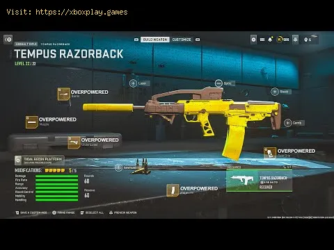 Video preview